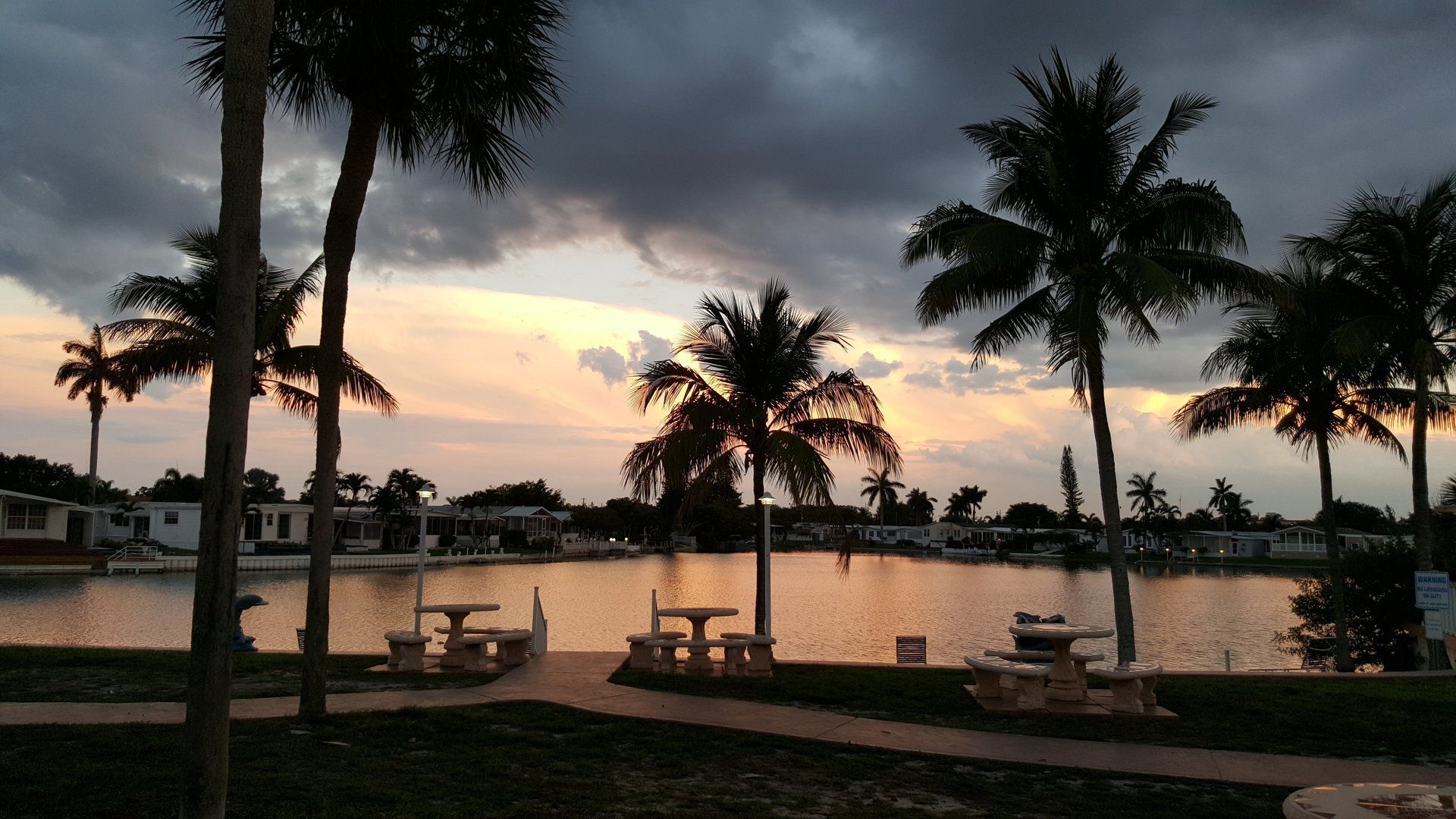 Palms silhouetted beside the community lake at sunset